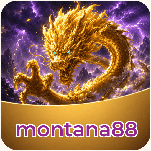 Troubleshooting montana88